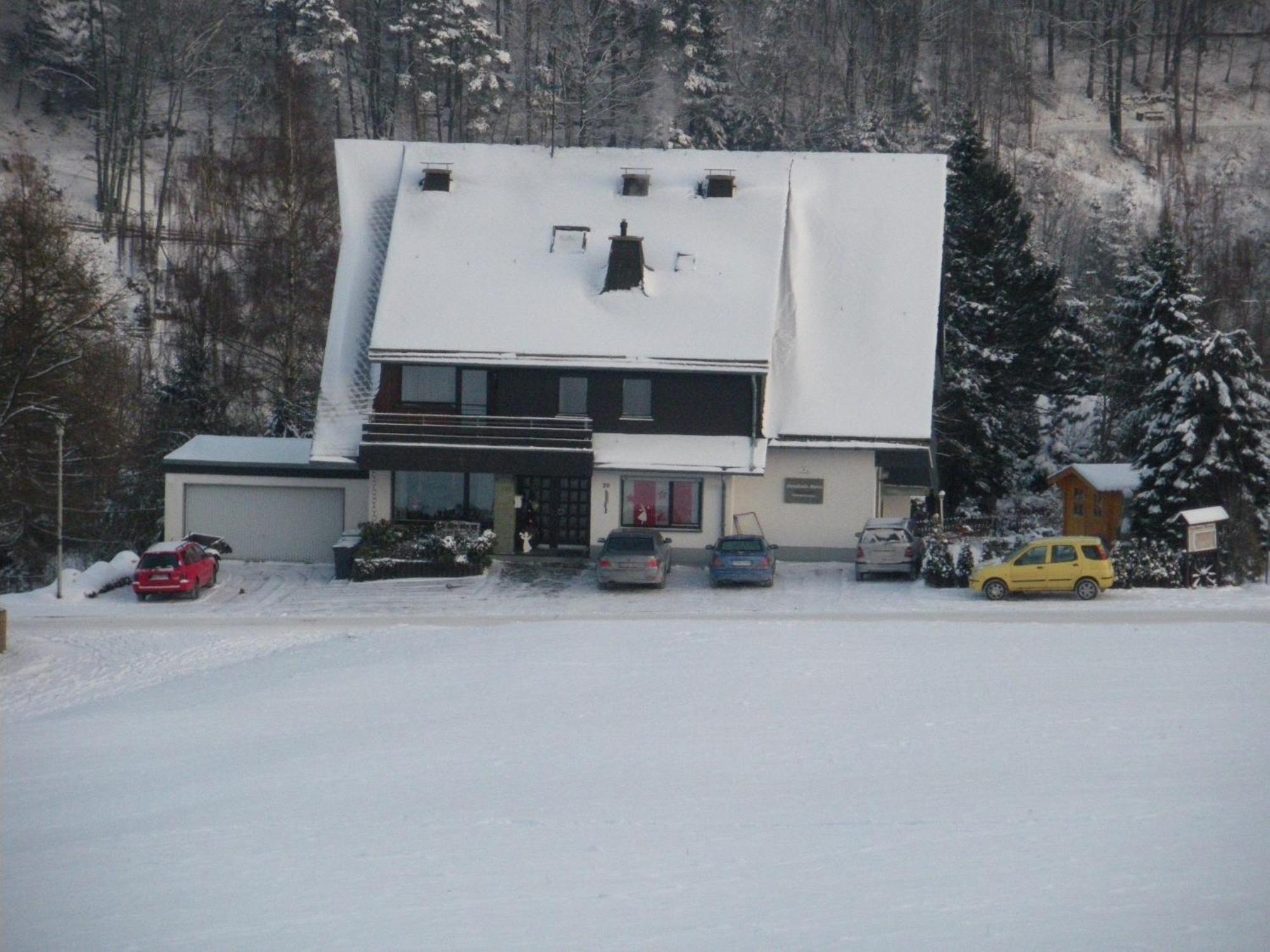 Ferienwohnungen Landhaus Meran Inkl Meinecardplus Willingen  Exterior foto