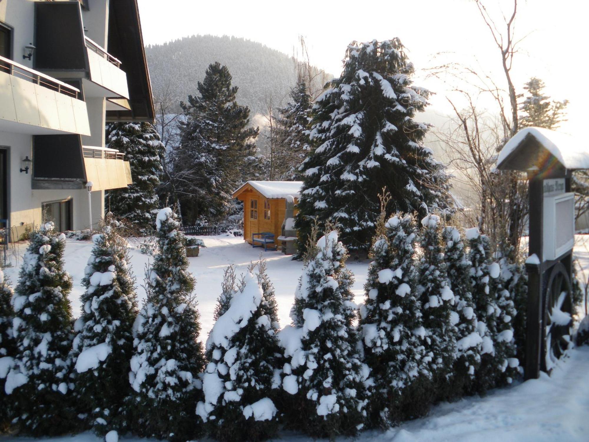 Ferienwohnungen Landhaus Meran Inkl Meinecardplus Willingen  Exterior foto