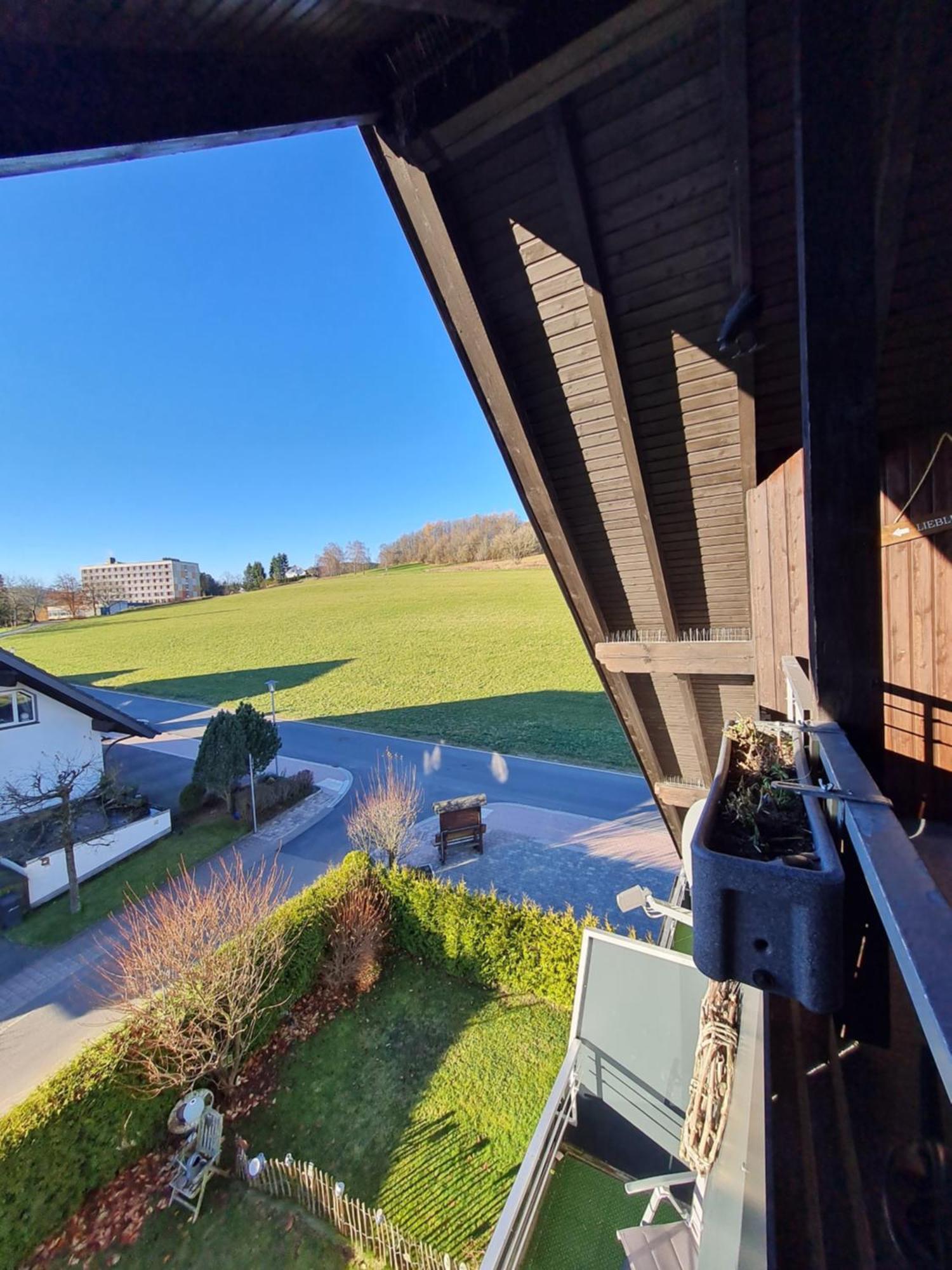 Ferienwohnungen Landhaus Meran Inkl Meinecardplus Willingen  Exterior foto