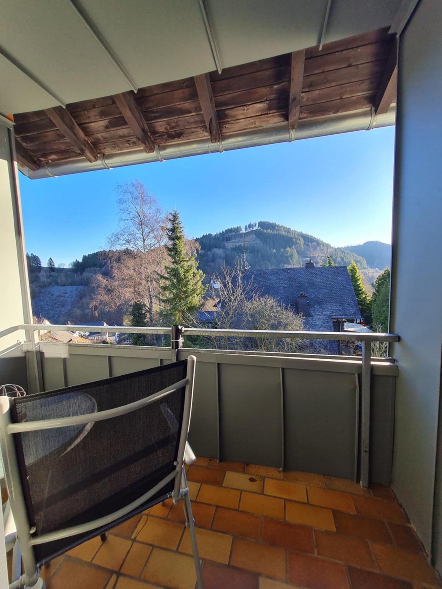 Ferienwohnungen Landhaus Meran Inkl Meinecardplus Willingen  Exterior foto